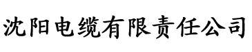 久久久亚洲春色AV无码电缆厂logo